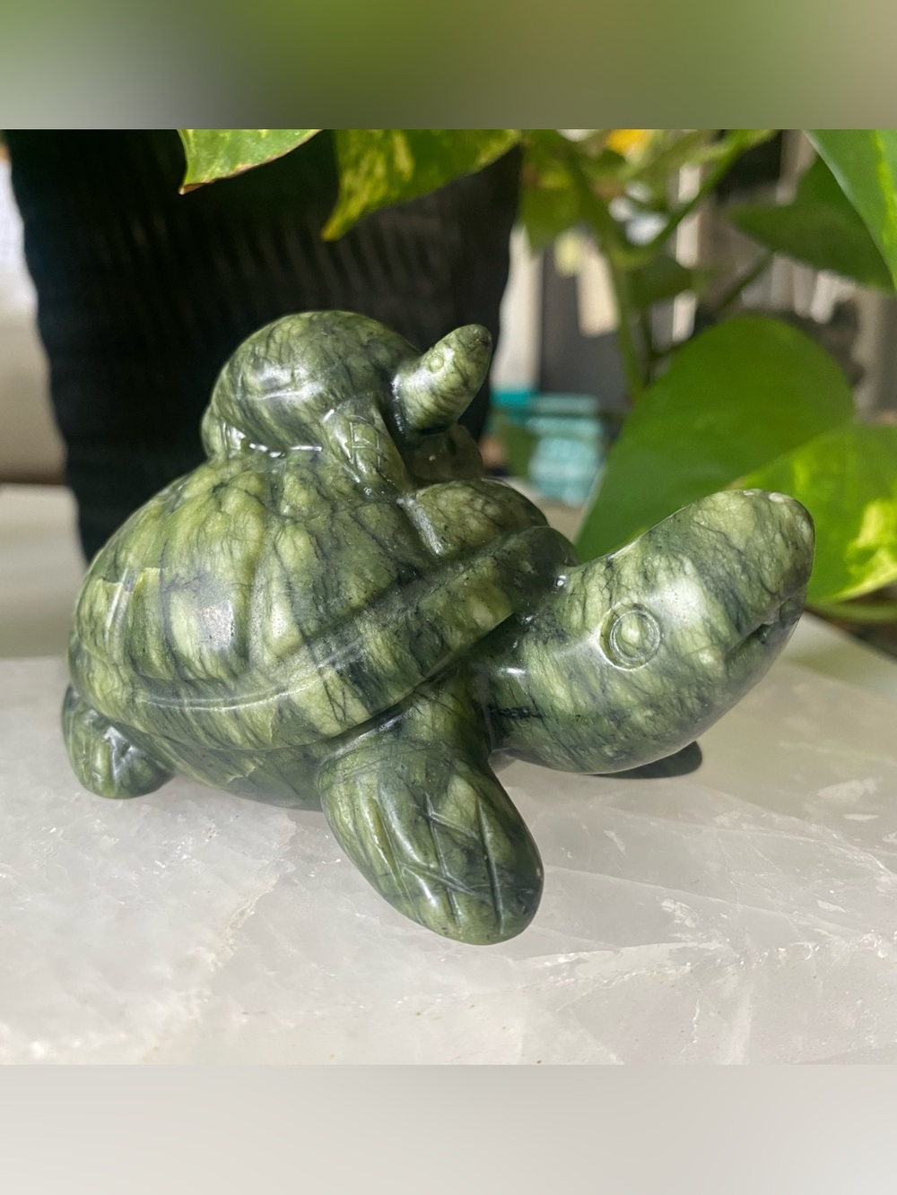 Green Jade Turtle Buddies Figurine